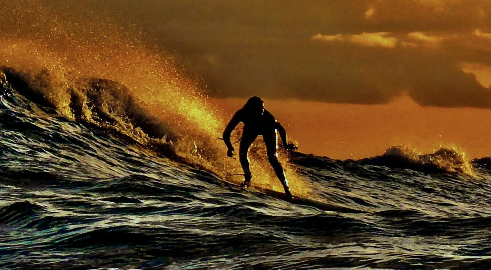 Don't force the body. Surfer riding a golden wave at sunset